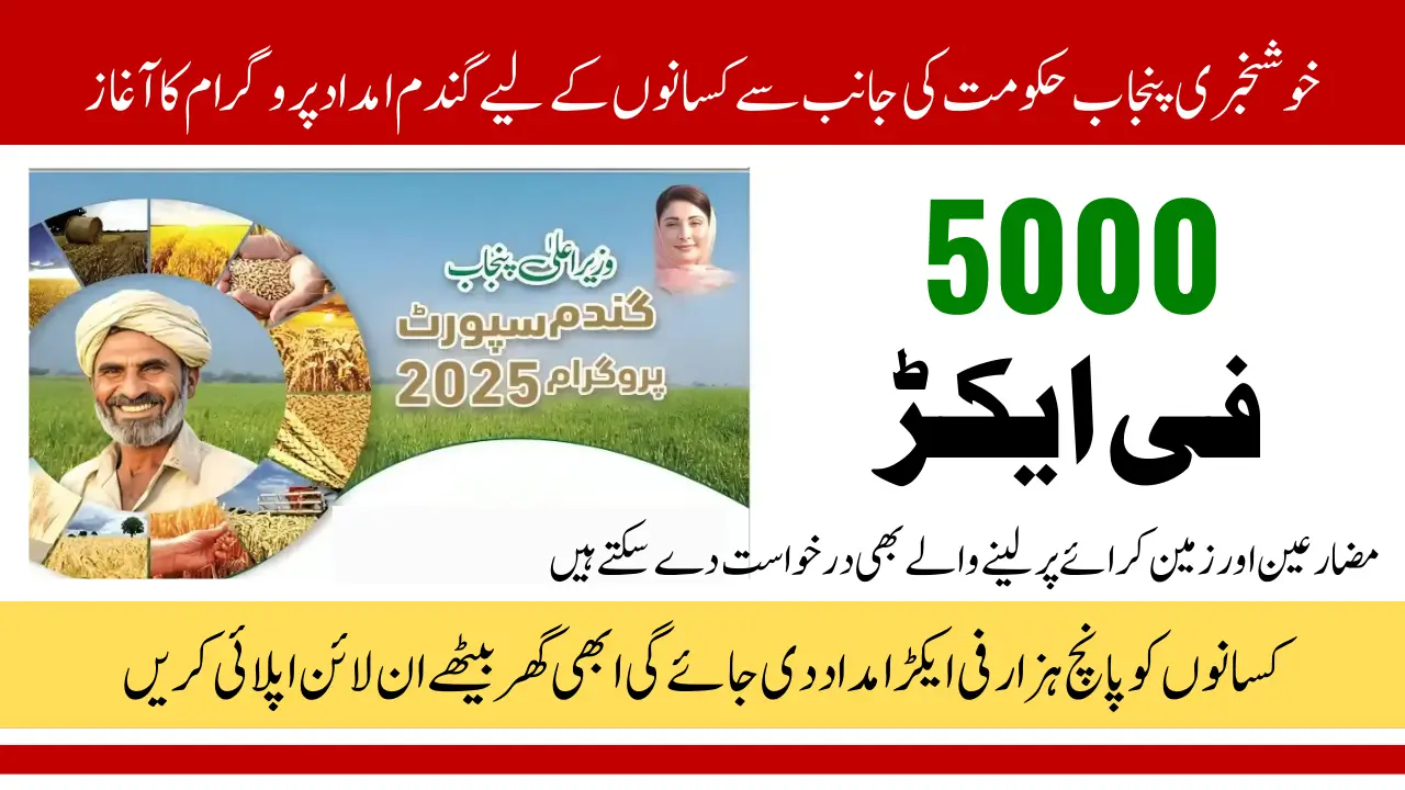 Punjab Wheat Support Program