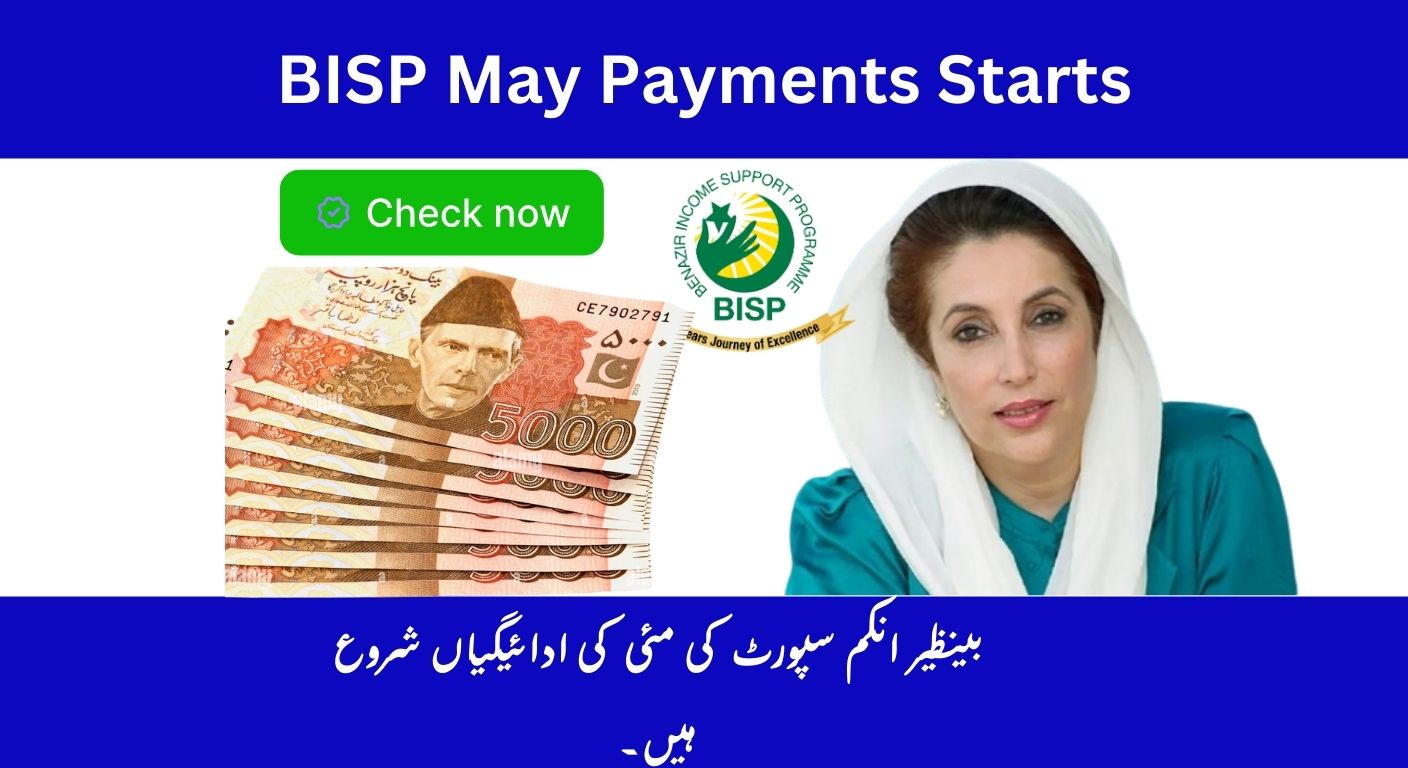 Checking Your BISP Payment Online