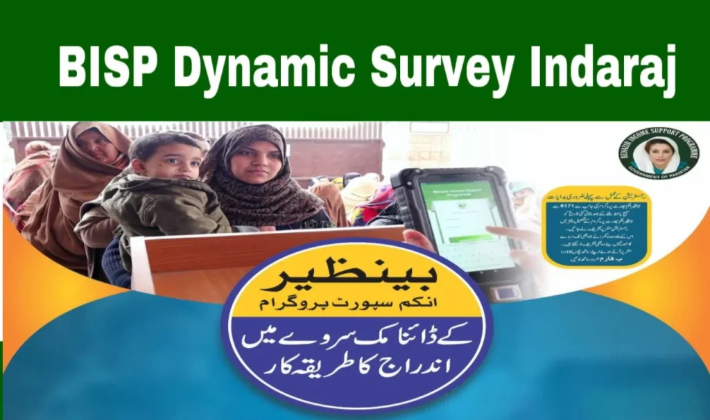 BISP Dynamic Survey
